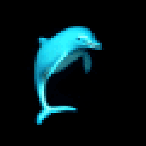 dolphinzzz