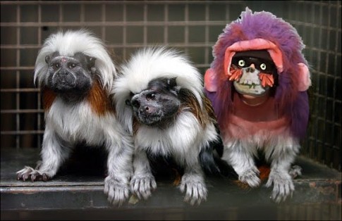 walterfamilyphoto